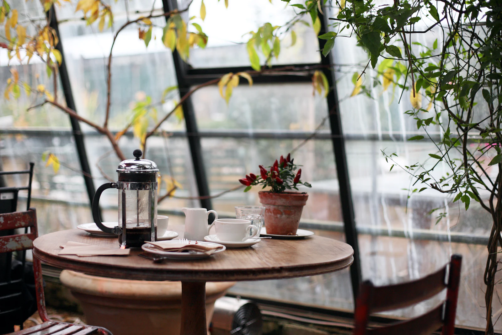 Small round table by a big window with a French press